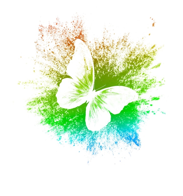 Color paint splashes with butterfly isolated on a white background. print for the designer