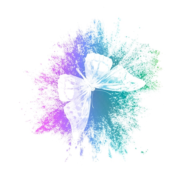 Color paint splashes with butterfly isolated on a white background print for the designer