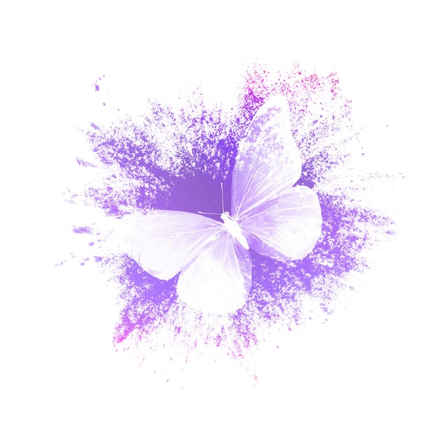 Color paint splashes with butterfly isolated on a white background. print for the designer