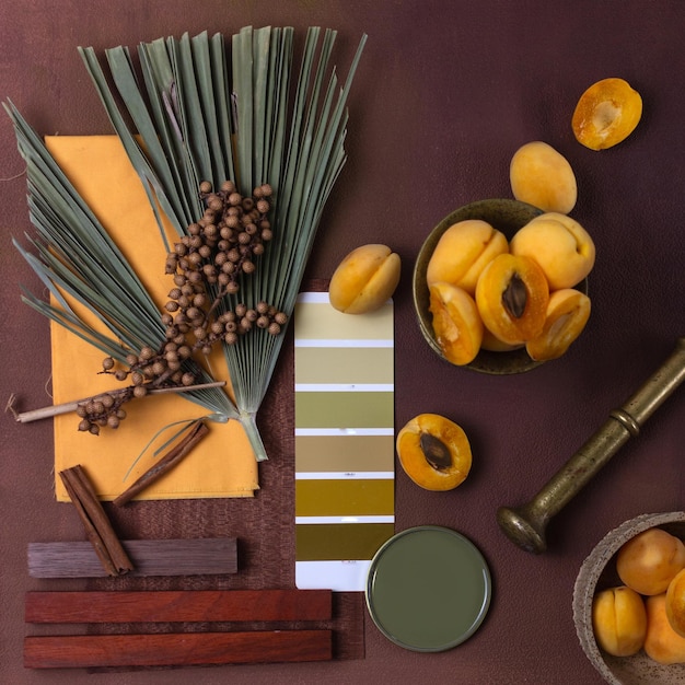 Photo color palette mood board for interior design and decor