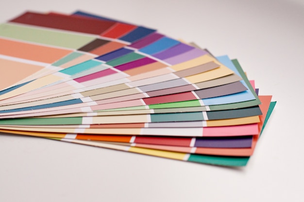 다양한 샘플이 포함 된 색상 팔레트.