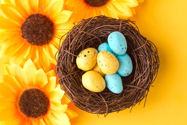Color quail eggs in the nest and sunflowers on yellow background Easter holiday concept