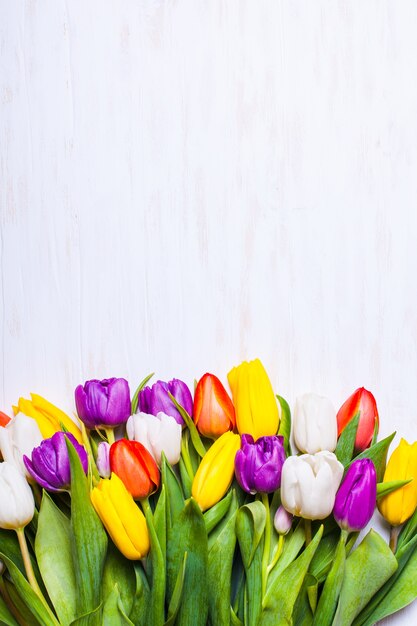 Цветные тюльпаны на доске