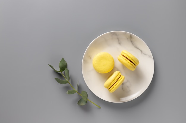 Colore dell'anno 2021. macarons dolci su piatto con eucalipto