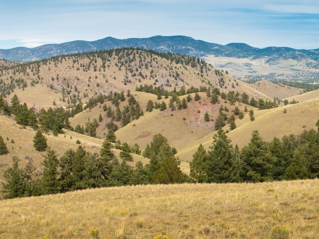 Colorado's hilly landscape in early autumn.