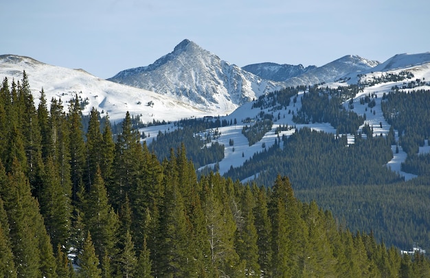 Foreclosures Summit County Co