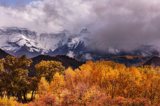 Colorado