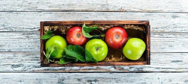 Colored apples on a white wooden background Fruits Top view Free space for text