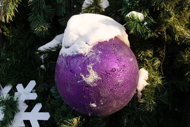 通りのクリスマス ツリーの色付きのボール