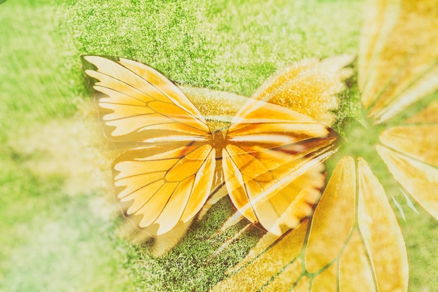 写真 色付きの蝶。熱帯の昆虫。美しい蛾。緑の草の背景に。