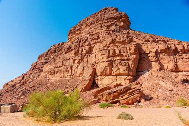 Colored canyon in the Sinai Peninsula, beautiful curved limestone stones, plants among the stones