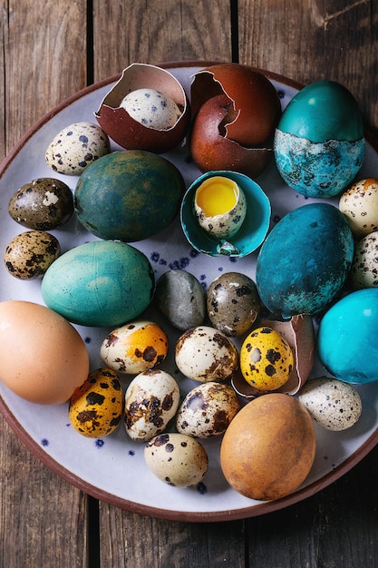 Colored chicken and quail eggs