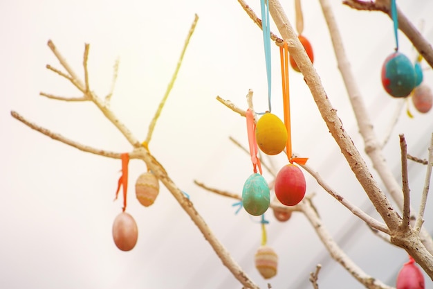 Colored Easter eggs decoration on tree toned