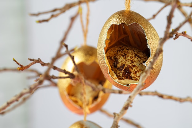 Photo colored easter eggs hanging on dry branches