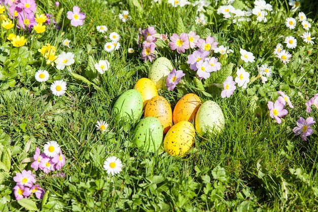 Colored Easter eggs hidden in flowers and grass