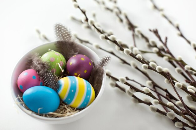 Photo colored easter eggs and pussy willow branches