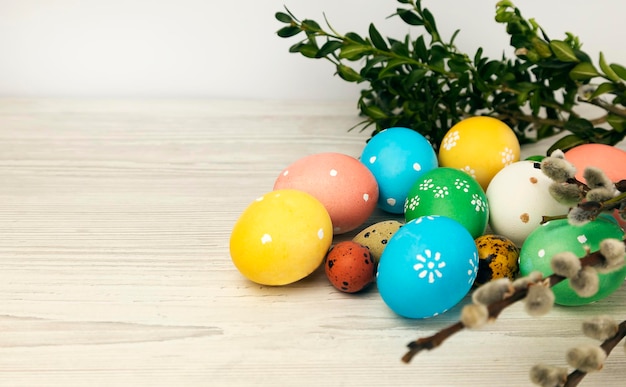 Colored Easter eggs with willow twig and green leaves isolated on white background
