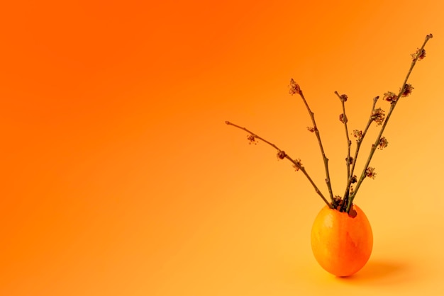 Colored eggs with spring green grass and flowering tree branch on an orange background Easter holiday family traditions