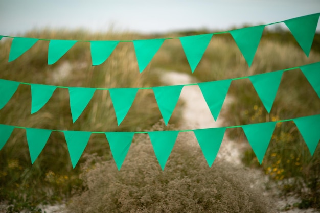 Photo colored flags in the natural envirnment visualization for a cover