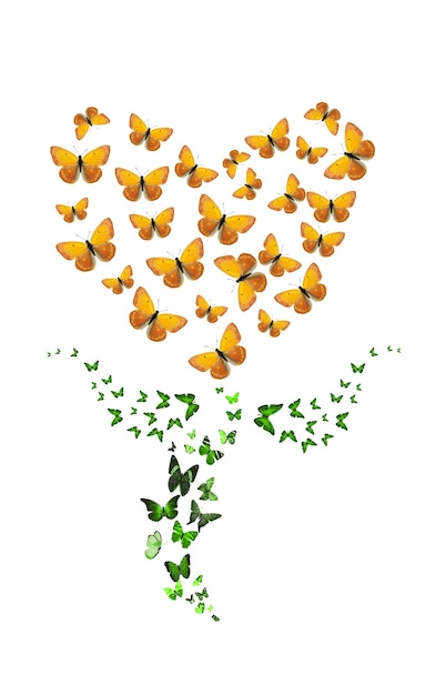 Colored flower-shaped butterflies are isolated against a white background. yellow designer bud. High quality photo