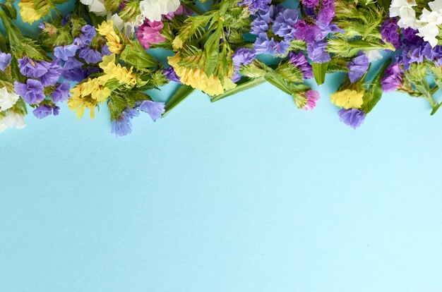 Colored flowers on blue surface. Flat lay