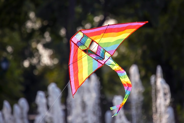 색색의 비행 연은 나무 배경에 날아갑니다. 레저 및 야외 레크리에이션