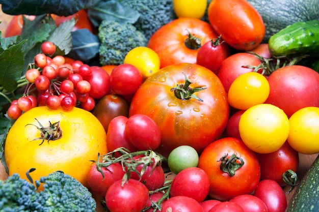 Цветные свежие овощи. Вегетарианство, концепция органического садоводства