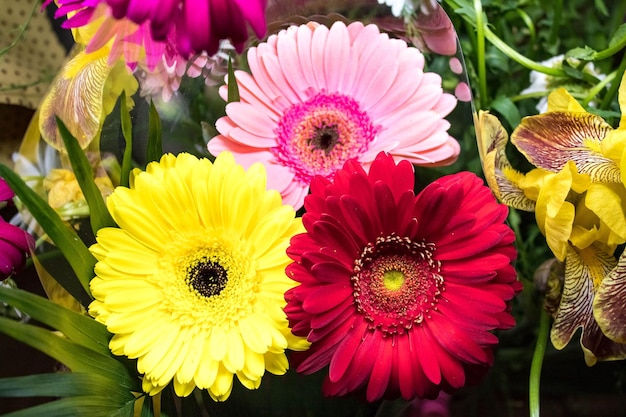 사진 꽃의 색된 gerberas 꽃다발 노란색 빨간색 분홍색