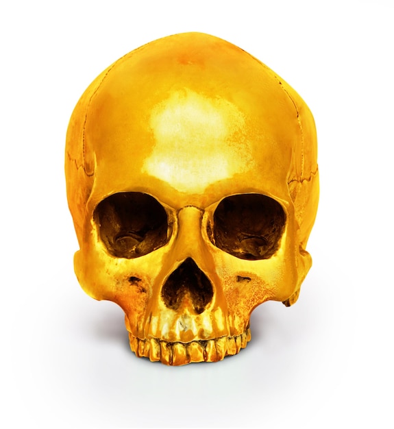 Colored human skull isolated on white background