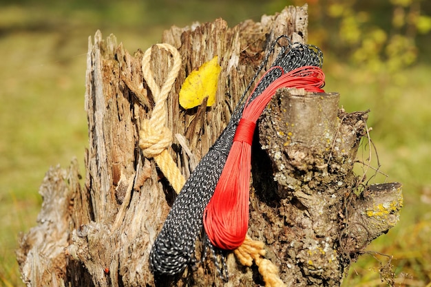 Colored laces on a wooden background .