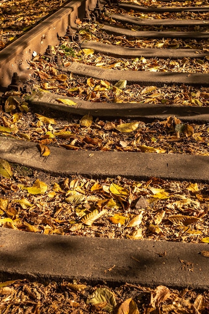 Colored leaves on the railroad. Autumn railway. Warm colors. Fallen dry leaves on the sleepers.