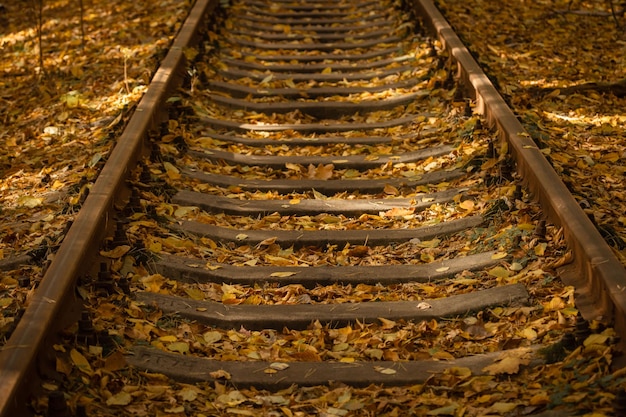 Colored leaves on the railroad. Autumn railway. Warm colors. Fallen dry leaves on the sleepers.