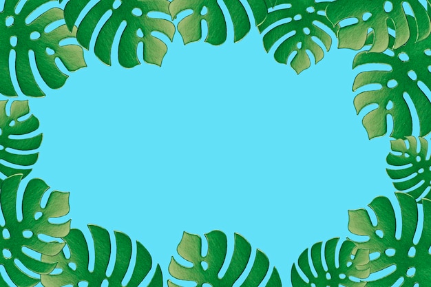 Photo colored monstera plant background. monstera leaves on turquoise background. summer minimal concept. space for text