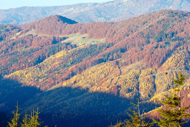 秋のカルパチアの色付きの山の斜面。朝の霧の景色。