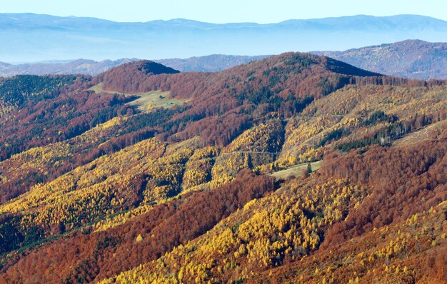 秋のカルパチアの色付きの山の斜面。朝の霧の景色。