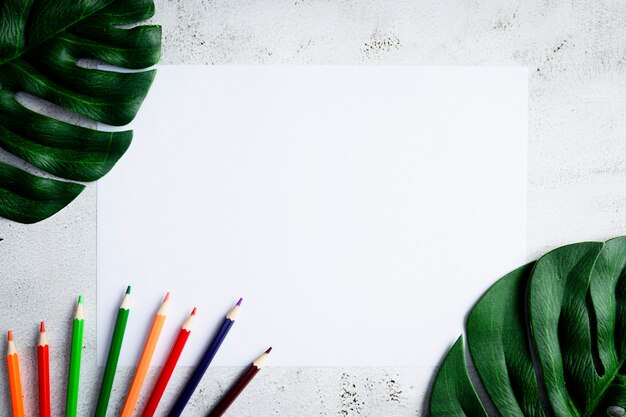 照片彩色铅笔和一个空白的纸张与蓬莱蕉树叶