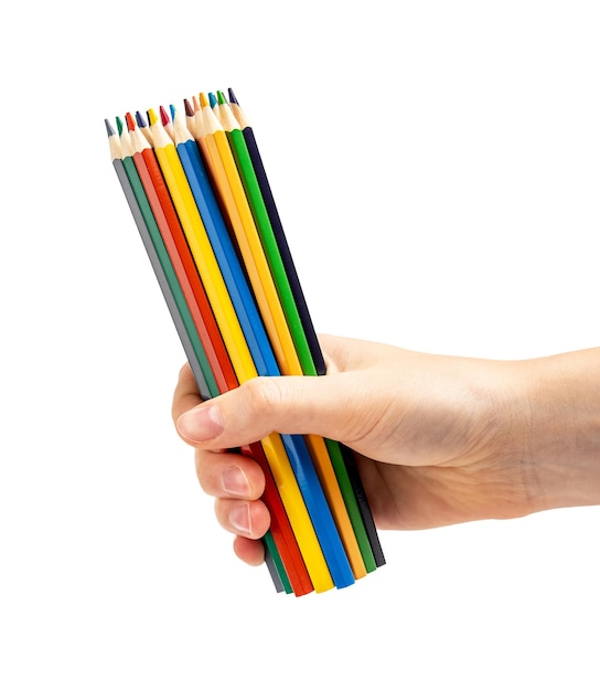 Colored pencils bunch in hand isolated on white background