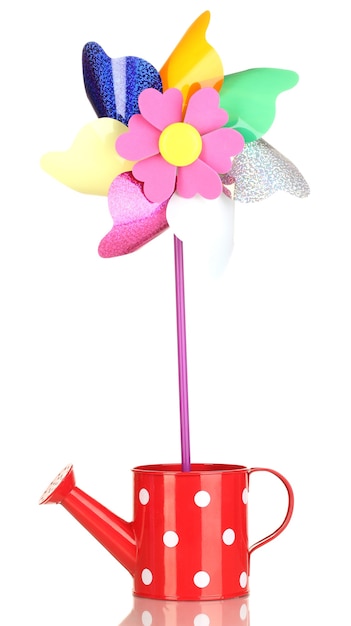 Colored pinwheel in watering can on white