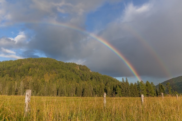 Colored rainbow over the mountain with green pines.