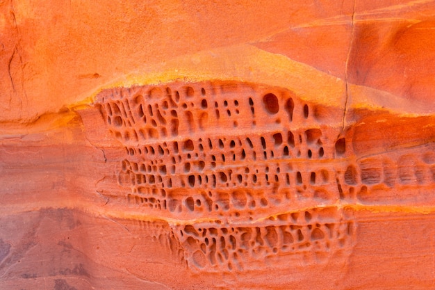 Colored Salam canyon in the Sinai Peninsula, beautiful curved limestone stones.