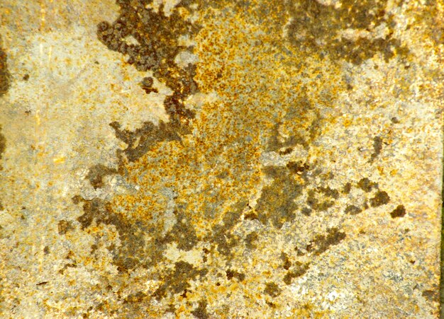 Photo a colored texture of rusted plate of metal