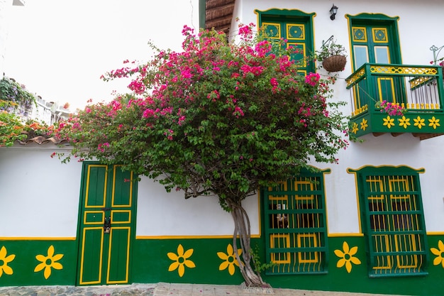 Photo colored wooden doors in a town in colombia latin america green tones and flowers