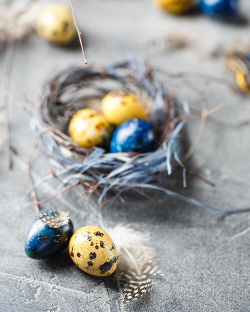 Цветные желтые и синие пасхальные перепелиные яйца в маленьких гнездах. Перепелиные яйца на католический и православный праздник пасхи.