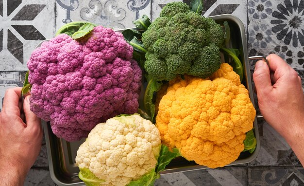 Colorfu cauliflower Various sort of cauliflower in metal container that holds male hands on stone tiles gray concrete background Purple yellow white and green color cabbages Mock up Top view