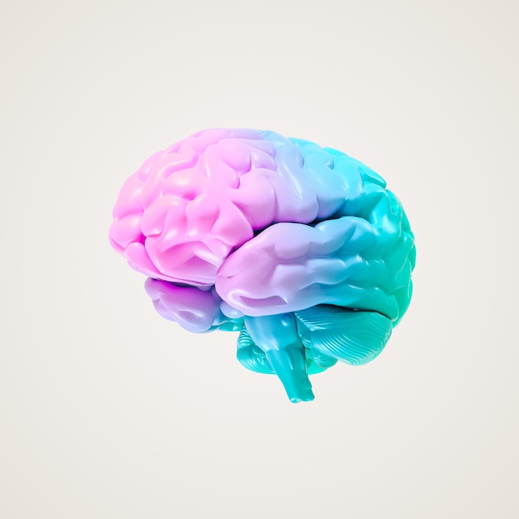Photo colorful 3d brain on white background