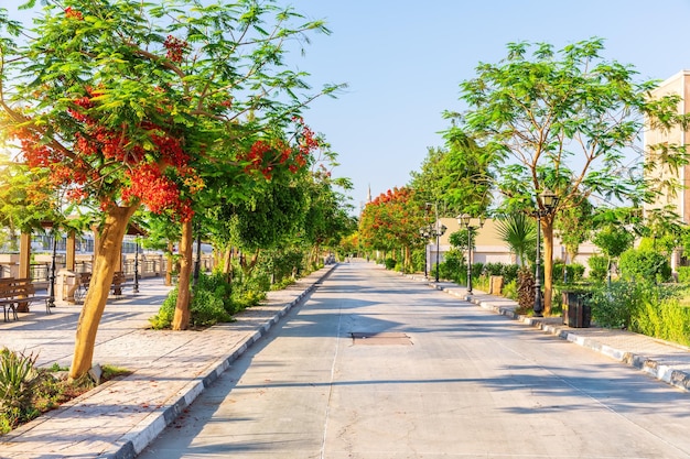 Colorful alley by the bank of the Nile Luxor Egypt