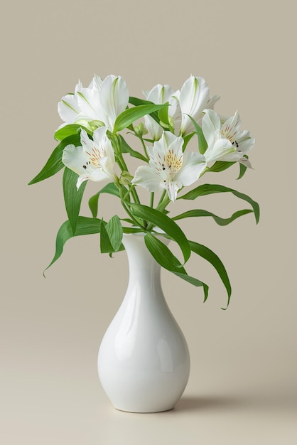 Colorful alstroemeria flowers on a beige background