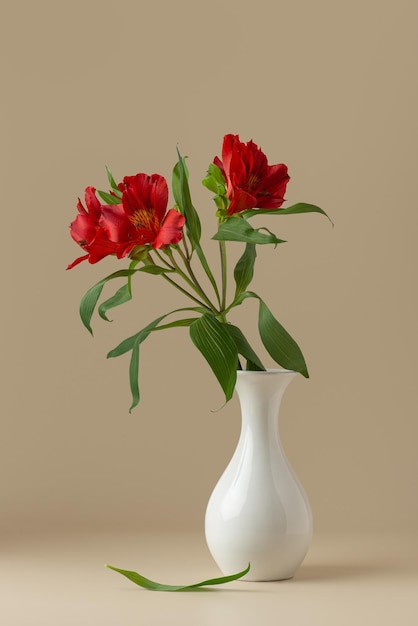 Colorful alstroemeria flowers on a beige background