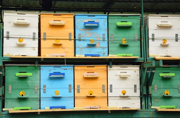 Colorful apiary set close up