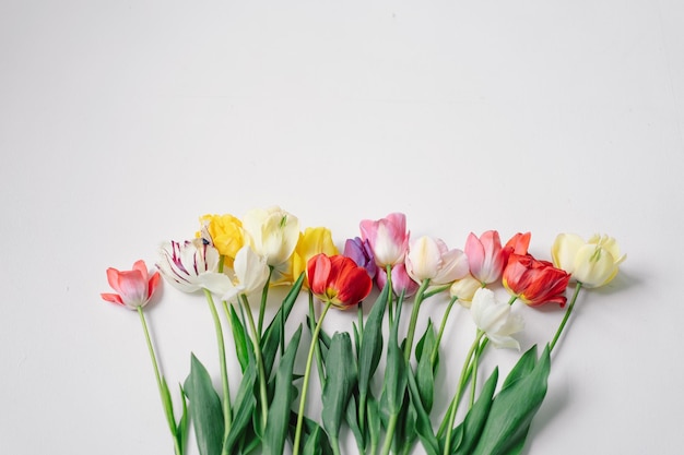 Colorful assortment of tulips